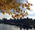 Things to do in Vancouver