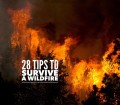 tips to survive a wildfire