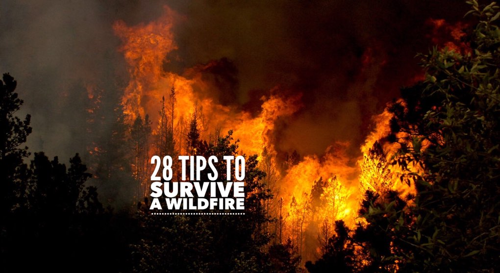 tips to survive a wildfire